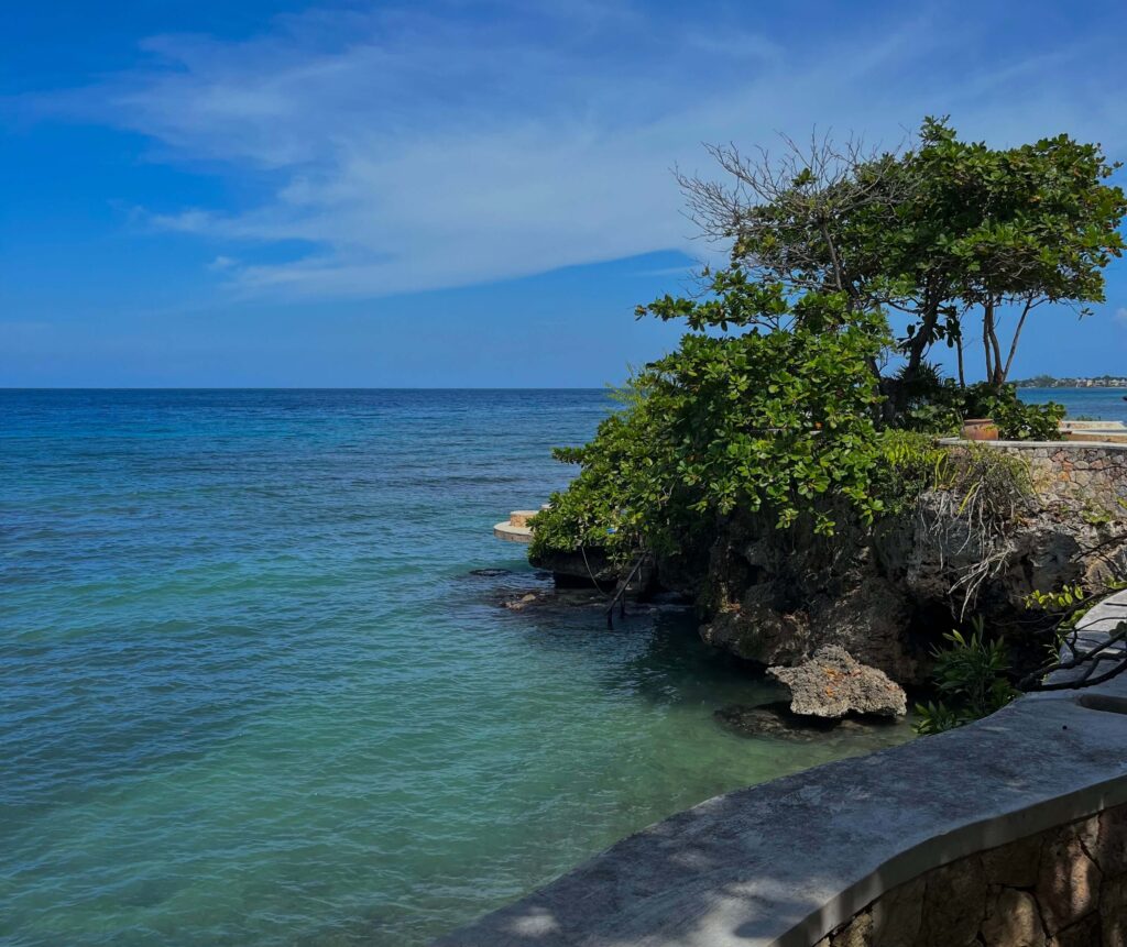 HOEM - Life as a Caribbean Student Abroad: Finding Community in Toronto