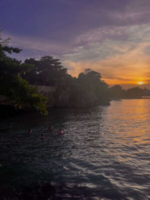 HOEM  -Day Trips by Transit from Toronto: Niagara Falls, Hamilton Waterfalls, and Scarborough Bluffs