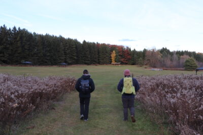 HOEM  -Digital Detox: Reclaiming Your Mental Health