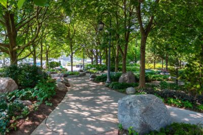 HOEM  -How to Enjoy the City when Campus is Quiet